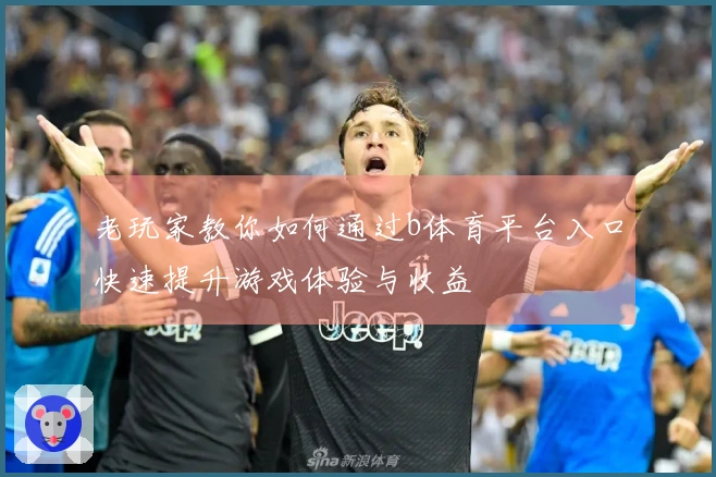 老玩家教你如何通过b体育平台入口快速提升游戏体验与收益