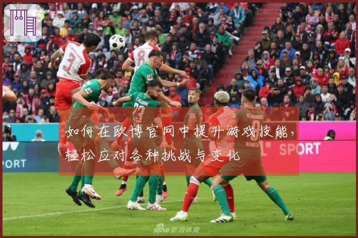 如何在欧博官网中提升游戏技能，轻松应对各种挑战与变化