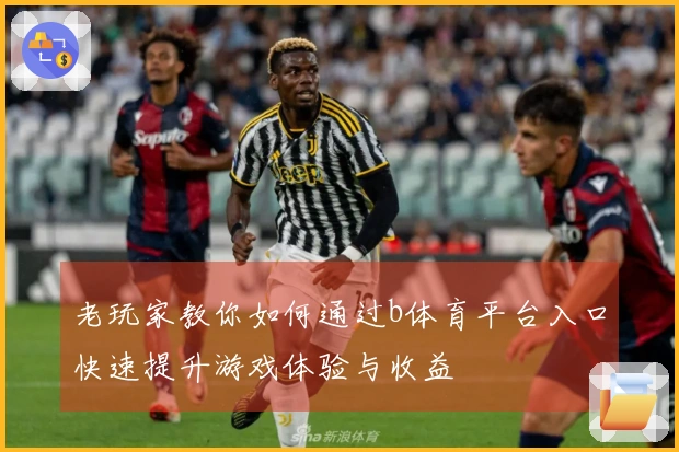老玩家教你如何通过b体育平台入口快速提升游戏体验与收益